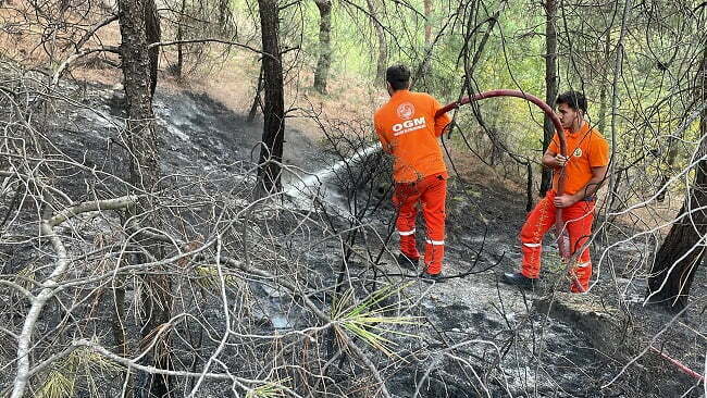 Ormanlık alanda çıkan yangın söndürüldü