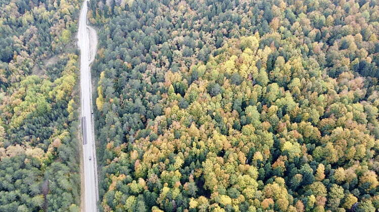 Karabük ormanlarında sonbahar güzelliği