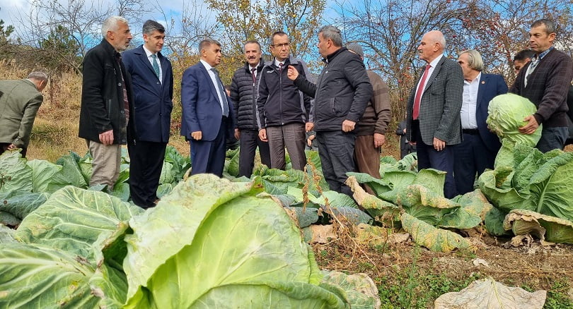 “Eskipazar Lahanası”na coğrafi işaret alınması için çalışma başlatıldı