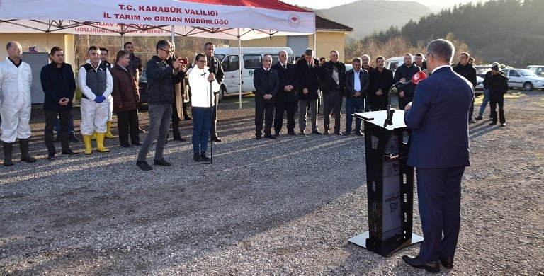 Çiftçilere hibe destekli keçi ve teke dağıtıldı