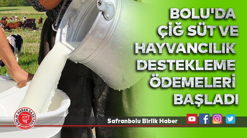 Bolu’da çiğ süt ve hayvancılık destekleme ödemeleri başladı
