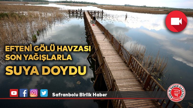 Efteni Gölü havzası son yağışlarla suya doydu