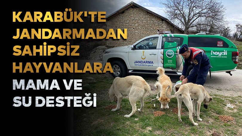 Karabük’te jandarmadan sahipsiz hayvanlara mama ve su desteği