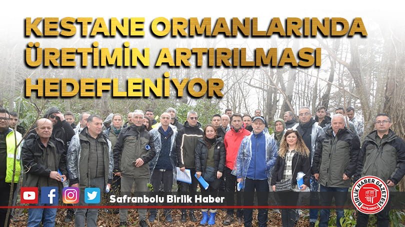 Kestane ormanlarında üretimin artırılması hedefleniyor