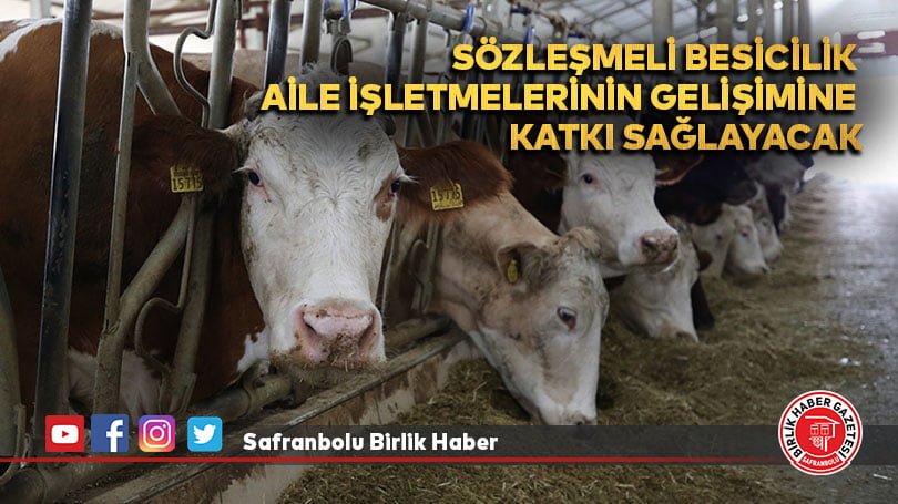Sözleşmeli besicilik aile işletmelerinin gelişimine katkı sağlayacak