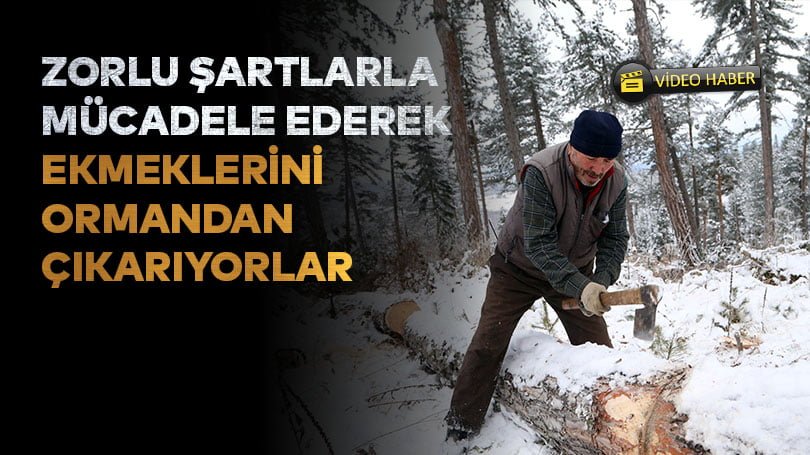 Zorlu şartlarla mücadele ederek ekmeklerini ormandan çıkarıyorlar
