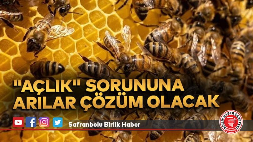 “Açlık” sorununa arılar çözüm olacak