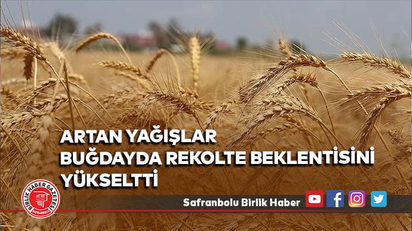 Artan yağışlar buğdayda rekolte beklentisini yükseltti