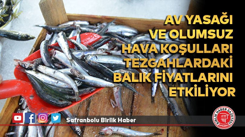 Av yasağı ve olumsuz hava koşulları tezgahlardaki balık fiyatlarını etkiliyor