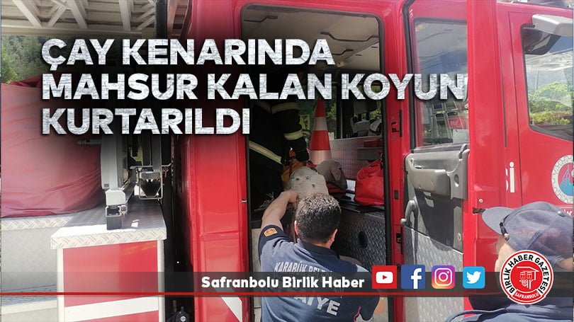 Çay kenarında mahsur kalan koyun kurtarıldı