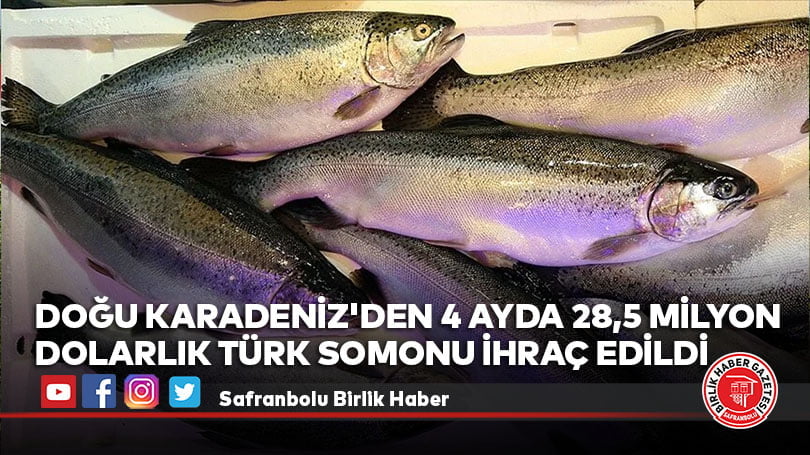 Doğu Karadeniz’den 4 ayda 28,5 milyon dolarlık Türk somonu ihraç edildi