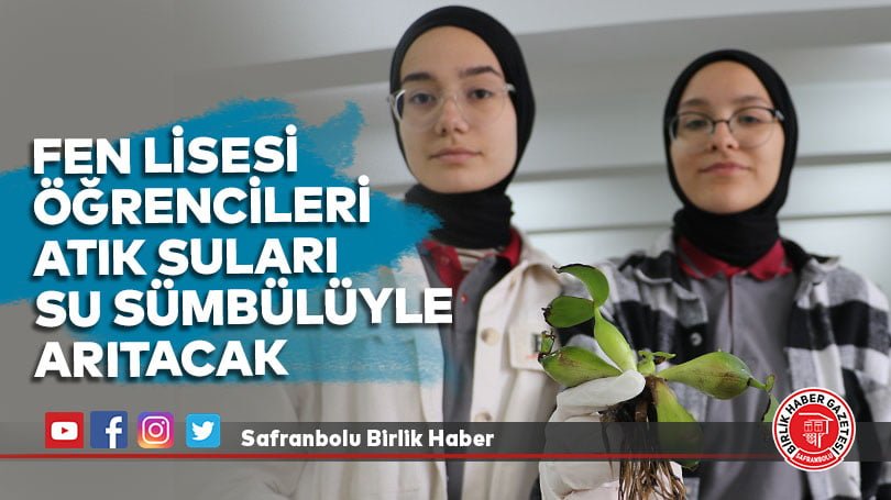 Fen lisesi öğrencileri atık suları su sümbülüyle arıtacak
