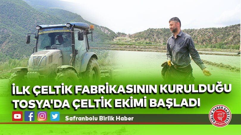 İlk çeltik fabrikasının kurulduğu Tosya’da çeltik ekimi başladı