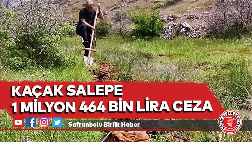 Kaçak salepe 1 milyon 464 bin lira ceza