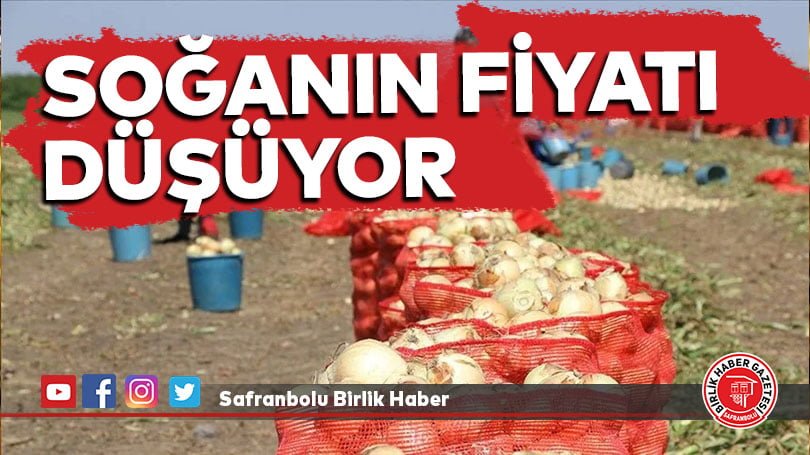 Çukurova’da hasadın yaygınlaşmasıyla soğanın fiyatı düşüyor