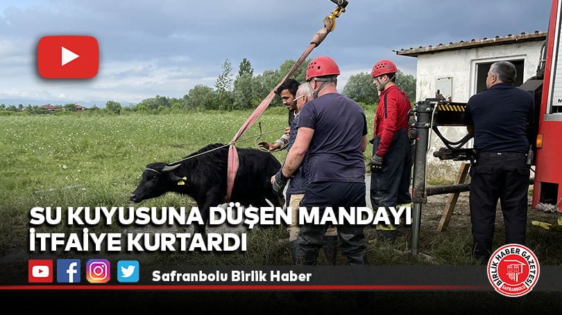 Su kuyusuna düşen mandayı itfaiye kurtardı