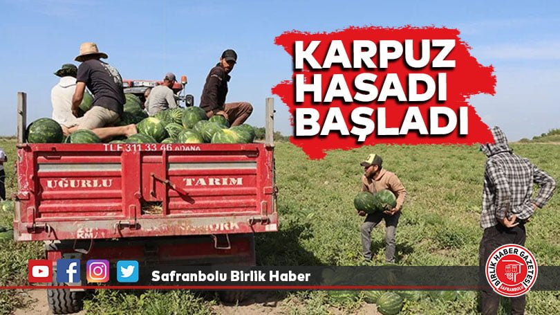 Tescilli Adana karpuzunda hasat başladı