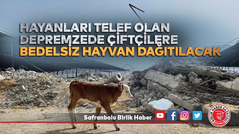 Hayanları telef olan depremzede çiftçilere  bedelsiz hayvan dağıtılacak