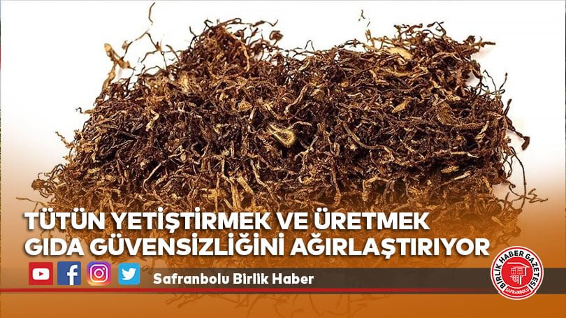 Dünya Sağlık Örgütüne göre, tütün yetiştirmek ve üretmek gıda güvensizliğini ağırlaştırıyor