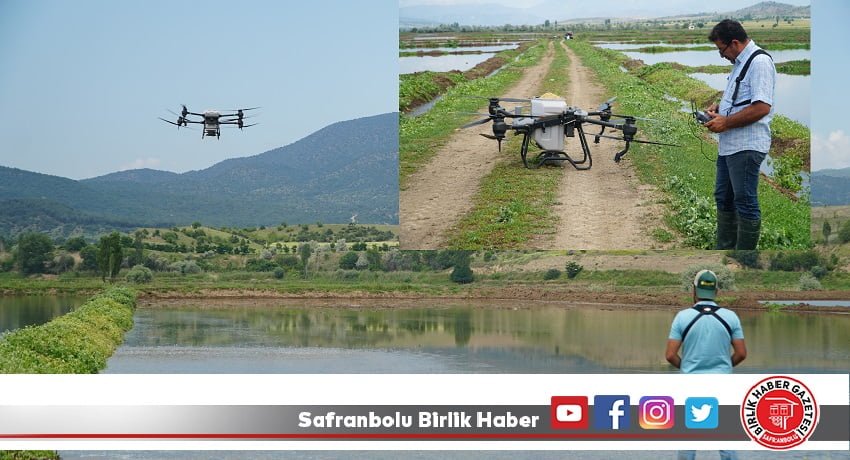 Çeltik ekiminde maliyet dronla düşürülüyor