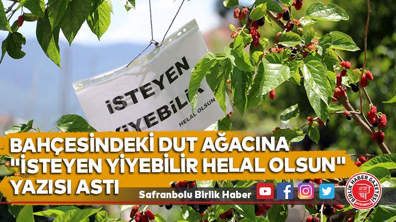 Bahçesindeki dut ağacına “İsteyen yiyebilir helal olsun” yazısı