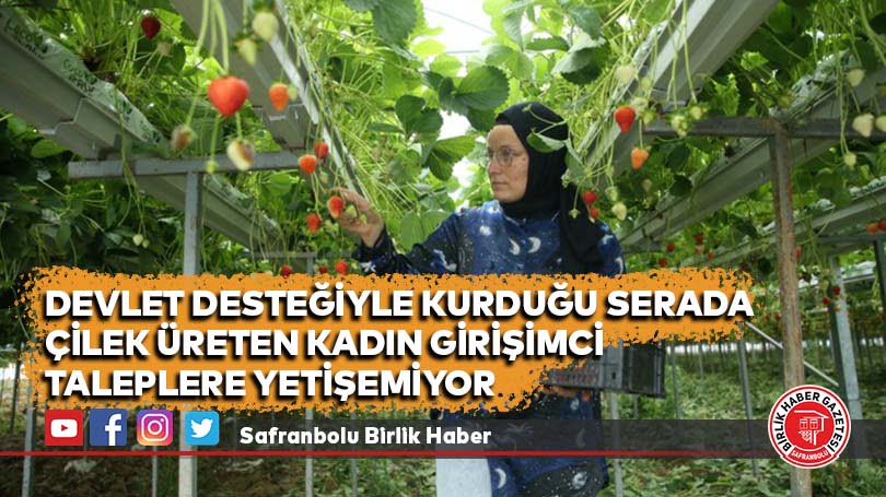 Devlet desteğiyle kurduğu serada çilek üreten kadın girişimci taleplere yetişemiyor