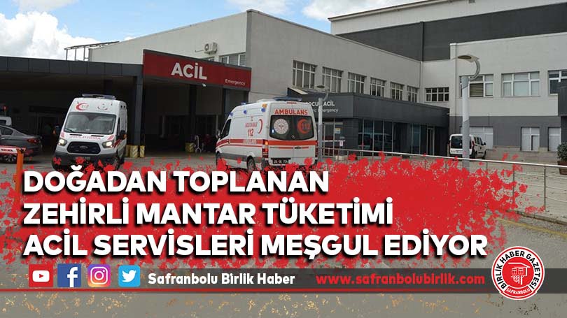 Doğadan toplanan zehirli mantar tüketimi acil servisleri meşgul ediyor