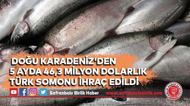 Doğu Karadeniz’den 5 ayda 46,3 milyon dolarlık Türk somonu ihraç edildi