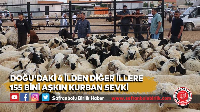 Doğu’daki 4 ilden diğer illere 155 bini aşkın kurban sevki