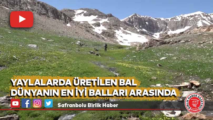 Yaylalarda üretilen bal Dünyanın en iyi balları arasında