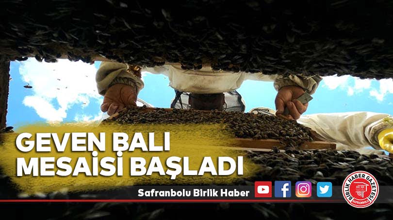 Geven balı mesaisi başladı