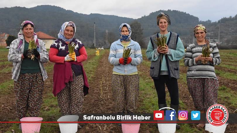 Girişimci kadın, ürettiği kuşkonmazı yurt dışına da ihraç ediyor