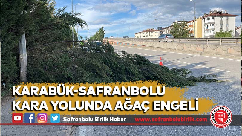 Karabük-Safranbolu kara yolunda ağaç engeli