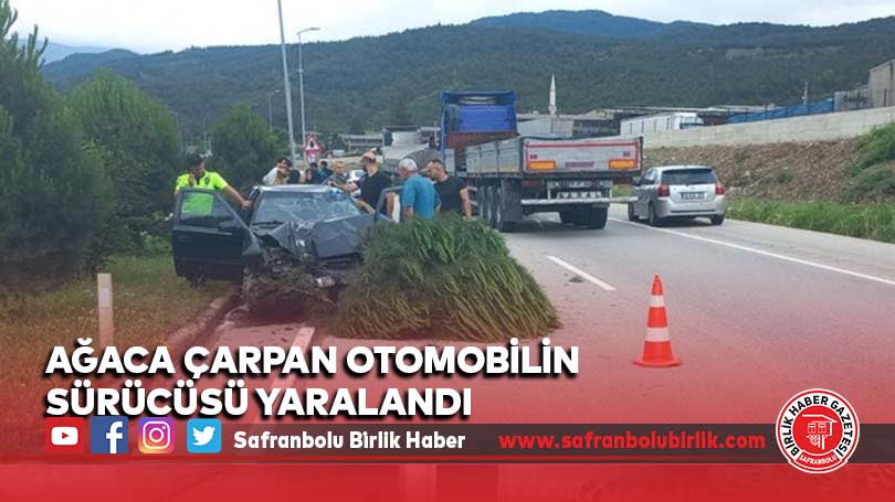 Ağaca çarpan otomobilin sürücüsü yaralandı
