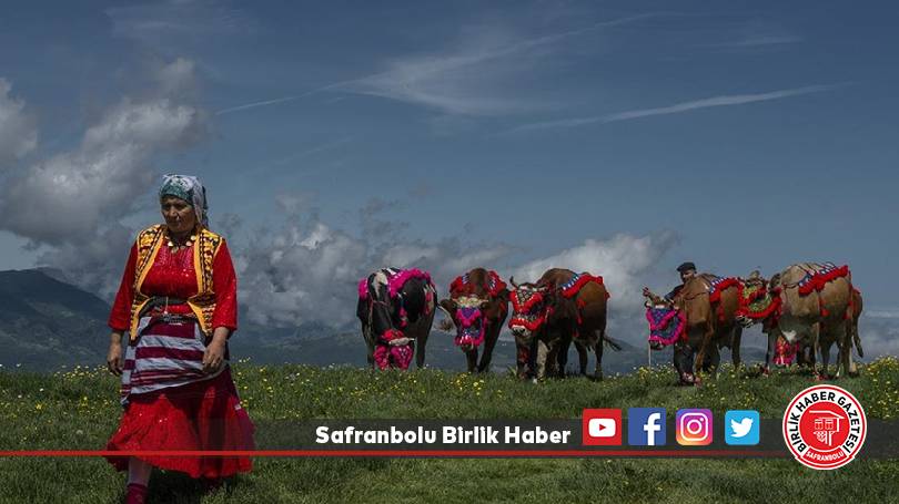 Karadeniz’de yaylacıların göç yolculuğu başladı