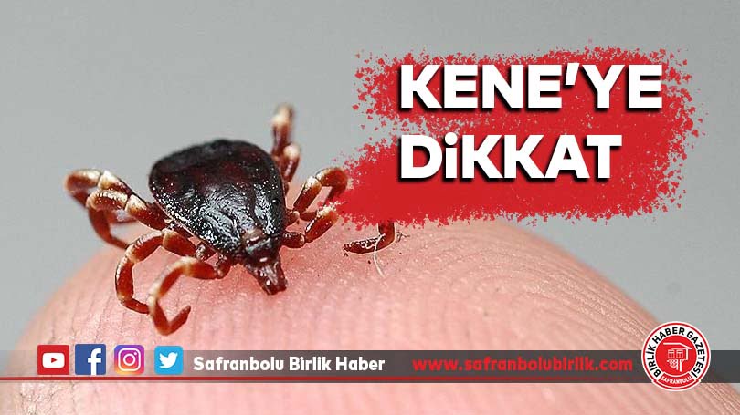 Kene’ye di̇kkat
