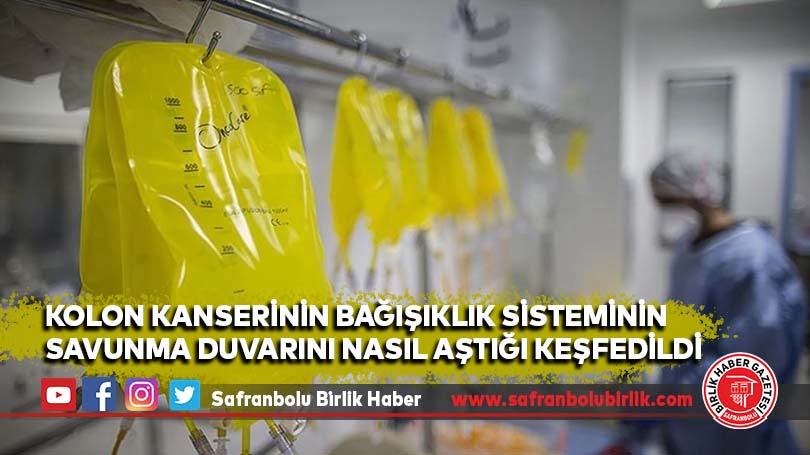Kolon kanserinin bağışıklık sisteminin savunma duvarını nasıl aştığı keşfedildi