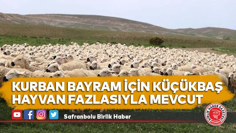 Kurban Bayram için küçükbaş hayvan fazlasıyla mevcut
