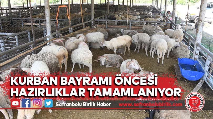 Kurban Bayramı Öncesi Hazırlıklar Tamamlanıyor
