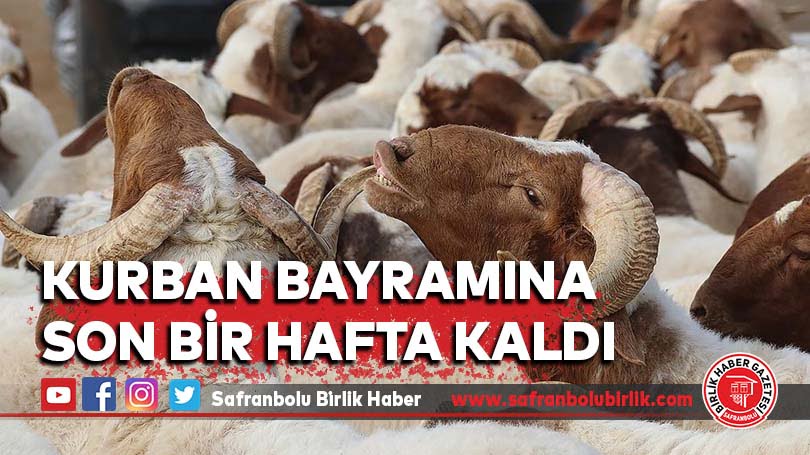 Kurban Bayramına son bir hafta kaldı