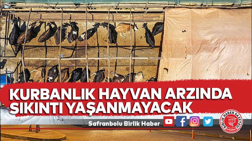 Kurbanlık hayvan arzında sıkıntı yaşanmayacak