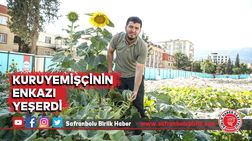 Kuruyemişçinin enkazı yeşerdi