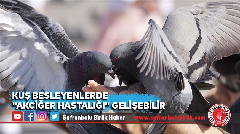 Kuş besleyenlerde “akciğer hastalığı” gelişebilir