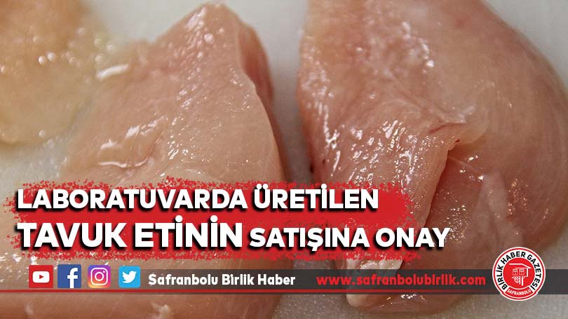Laboratuvarda üretilen tavuk etinin satışına onay