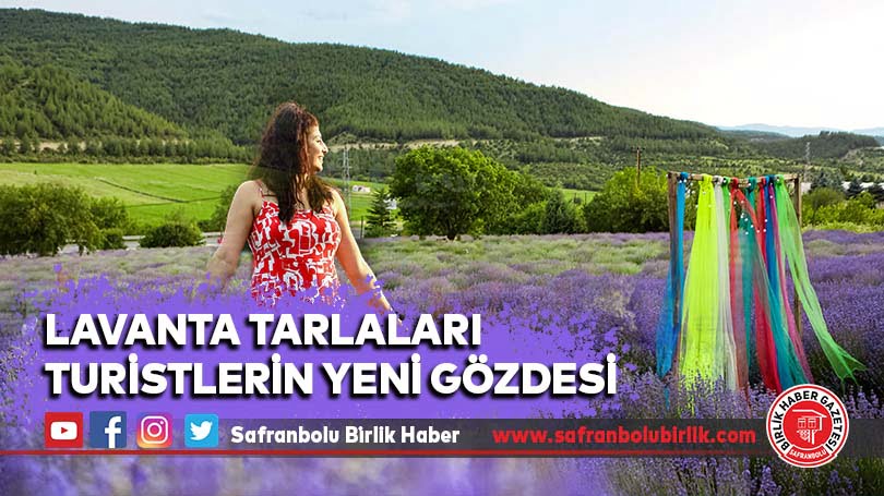 Lavanta tarlaları turistlerin yeni gözdesi