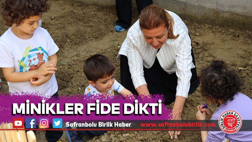 Minikler Fide Dikti