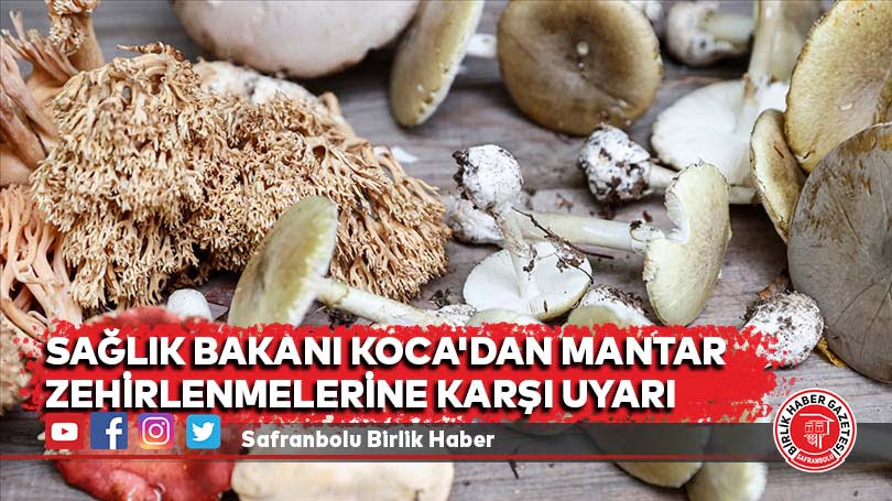 Sağlık Bakanı Koca’dan mantar zehirlenmelerine karşı uyarı