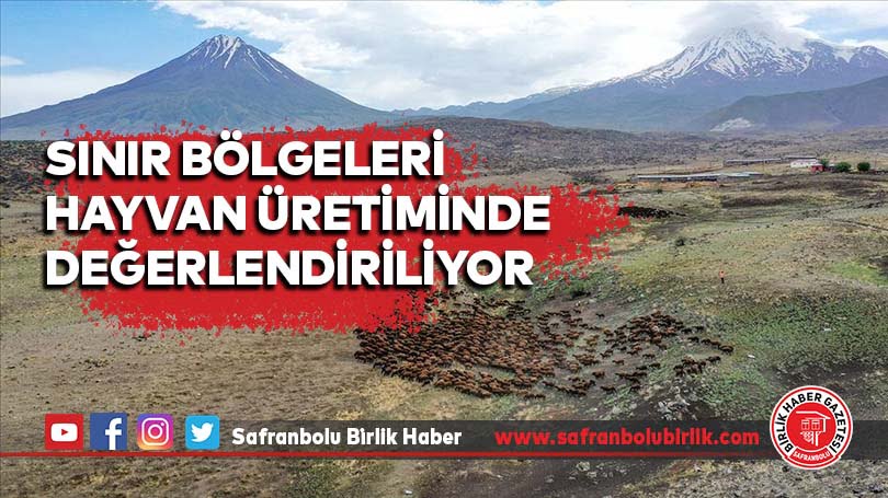 Sınırlara yakın boş araziler büyükbaş ve küçükbaş hayvan üretiminde değerlendiriliyor