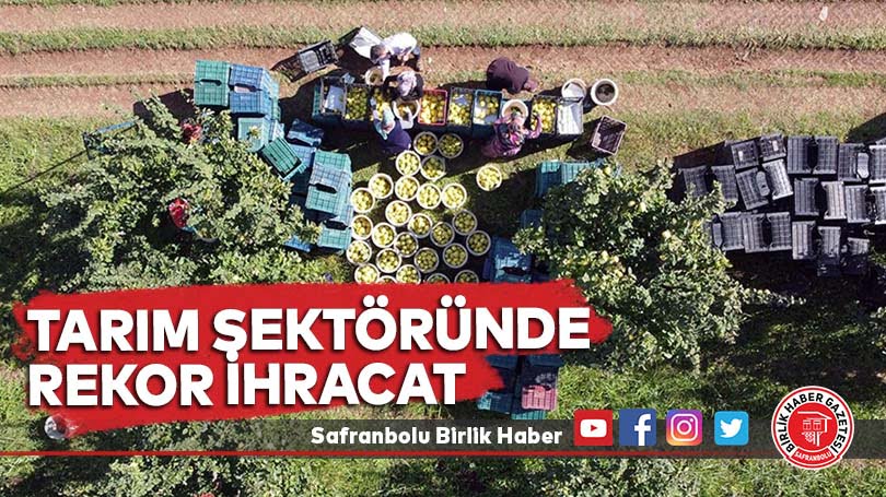 Tarım sektöründe rekor ihracat