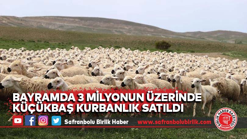Bayramda 3 milyonun üzerinde küçükbaş kurbanlık satıldı